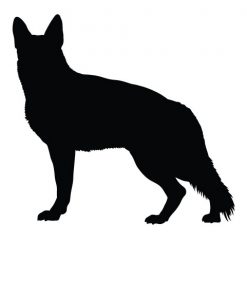 German Shepherd - Style 3