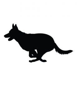 German Shepherd - Style 7